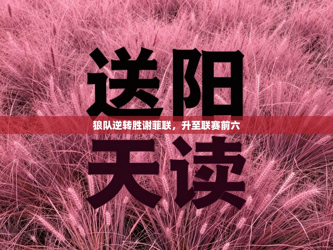 狼队逆转胜谢菲联,升至联赛前六 第2张