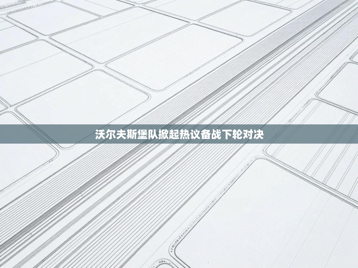 沃尔夫斯堡队掀起热议备战下轮对决  第2张