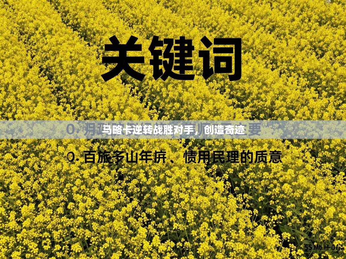 马略卡逆转战胜对手，创造奇迹  第1张